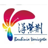 Bauhinia ink (zhejiang) co., LTD logo - Similar company to X Schooling Project