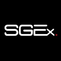 SGEx. Consulting Group logo - Similar company to Grupo Prizma
