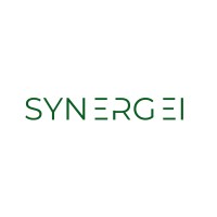 Synergei logo - Similar company to Lancom Infrastructure