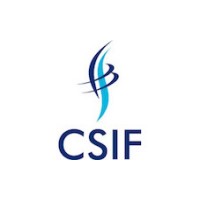 CSIF Global Group logo - Similar company to Sws Language Solutions S.L.