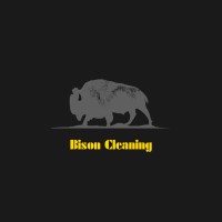 Bison Cleaning logo - Similar company to Bison India