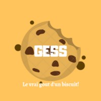 GESS logo - Similar company to Samres Ab