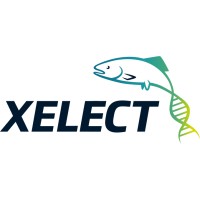 Xelect Ltd logo - Similar company to Spring Genetics