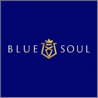 BLUE SOUL VENTURES logo - Similar company to Addon Integrated Facility Solution