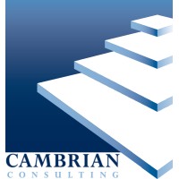 Cambrian Consulting, LLC logo - Similar company to Joyowo