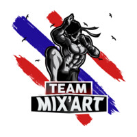TEAM MIX'ART logo - Similar company to Redoaks