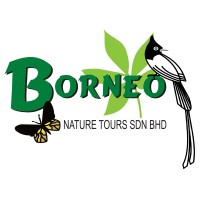 Borneo Nature Tours Sdn. Bhd. logo - Similar company to Borneo Eco Tours