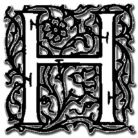 Hydra Virtual Reality logo - Similar company to Virtual Reality Consulting