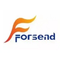 Guangzhou Forsend Garment Co.,Ltd logo - Similar company to Zoefunfun International