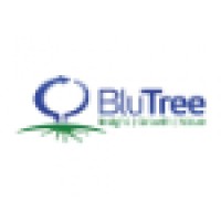 Blutree Advantage Llc
