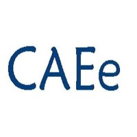 CAE Engineers, LLC. logo - Similar company to Hypermesh Ltd