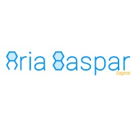 Aria Baspar logo - Similar company to Iledea Oy