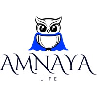 Amnaya logo - Similar company to Amnaya