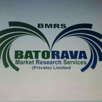 Batorava Market Research logo - Similar company to Knowledge Research Group