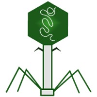 Bacteriophage.news logo - Similar company to Phage Directory