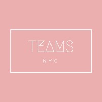 Teams NYC logo - Similar company to Epi Networking