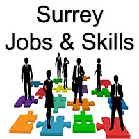 Surrey Jobs & Skills logo - Similar company to 5Q Consultancy