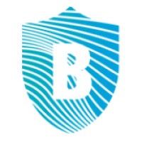 Breuer Cyber - und Datensicherheit logo - Similar company to Acopa Gmbh & Co. Kg