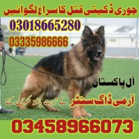 Army Dog Center Multan 03018665280 logo - Similar company to Bakhtawar Amin Medical And Dental College, Multan.