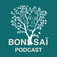 Bonsaï Podcast logo - Similar company to Mentor'Act