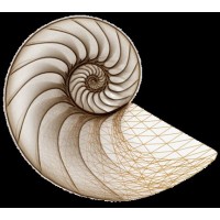 Caicano Ingenieria SAS logo - Similar company to Corasa Construcción Modular