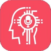 Woomer logo - Similar company to Ensoft