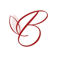 Brandiwork logo - Similar company to Whole Warrior Network