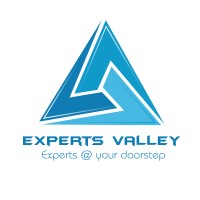 Experts Valley Professional Services logo - Similar company to Tasees Center For Innovation And Entrepreneurship
