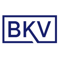 BKV Charted Accountants & Auditors logo - Similar company to Kpc3 International (Pty) Ltd