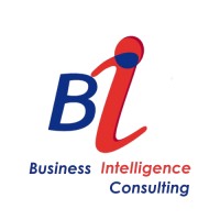 Business Intelligence Consulting logo - Similar company to Application Hosting