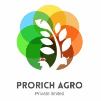 PRORICH logo - Similar company to Pegionfly