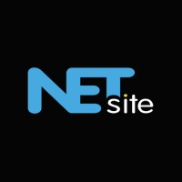 NETsite logo - Similar company to Tp-Link Enterprises Belgium