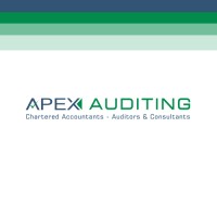 Apex Auditing UAE logo - Similar company to Apex Audit