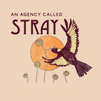 An Agency Called Stray