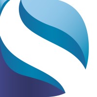Digital Solway Ltd. logo - Similar company to Apd | Amber Programmable Design Ltd
