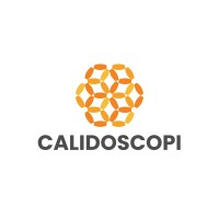 Calidoscopi Consultoría logo - Similar company to Vision Imagen