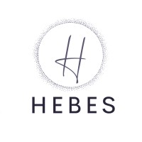 HEBES Intelligence logo - Similar company to Neener Analytics, Inc.