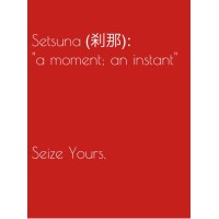 Setsuna Executive Coaching & Talent Solutions logo - Similar company to Rrj Academy