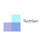 TECHSEN logo - Similar company to Techsen Labs