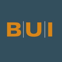 BUI logo - Similar company to Mint Group