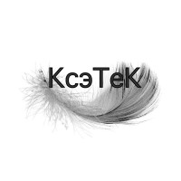 KSETEK logo - Similar company to Bkcp