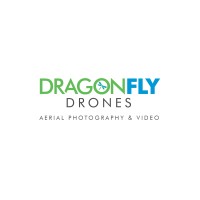 Dragonfly Drones logo - Similar company to Crowded Space Drones
