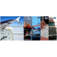MASTER GROUP INTERNATIONAL logo - Similar company to Gems (Group Strategic Management And Administration Maritime, Port And Fluvial) Col0047904