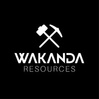 Wakanda Resources logo - Similar company to Exchange Capital (Pty) Ltd.