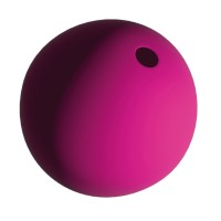 Snowberry Design logo - Similar company to Level Point Mk