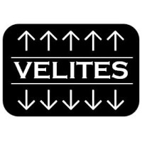 Velites | Implementation, Interaction & Leadership logo - Similar company to Rainmaker