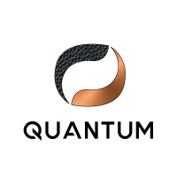 Quantum S.r.l logo - Similar company to Netids