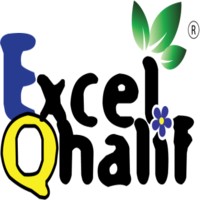 Excel Qhalif Therapy & Playgroup logo - Similar company to Non-Neurotypical Llc