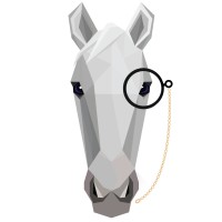 PonyApp logo - Similar company to Wealthplus