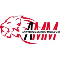 AMM Srl logo - Similar company to Beta Trans Spa